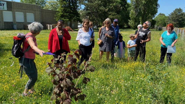 L'association "Bois gourmand du Chalonnais" plante un jardin-forêt aux Prés Saint-Jean