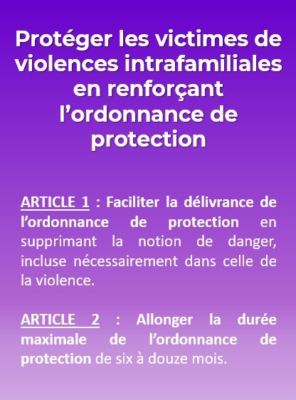 Violences intrafamiliales : adoptons ma proposition de loi renforçant l'ordonnance de protection et simplifiant le travail du juge
