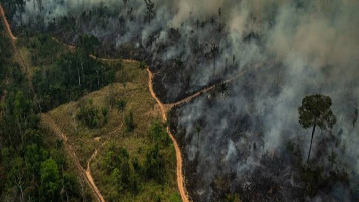 Amazonie : des actions pour ne pas être complices de la destruction