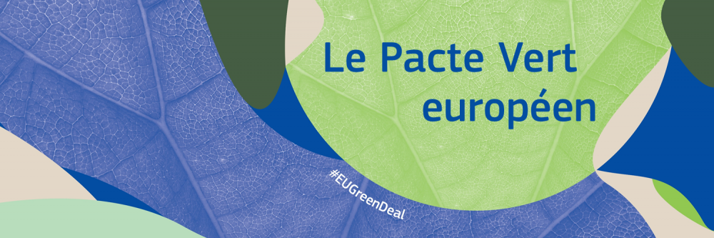 Réunion préparatoire sur le Pacte vert dans le cadre de l'assemblée parlementaire franco-allemande 